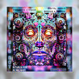 Project 016 PRIVATE CYBER HAIL BIG BOT